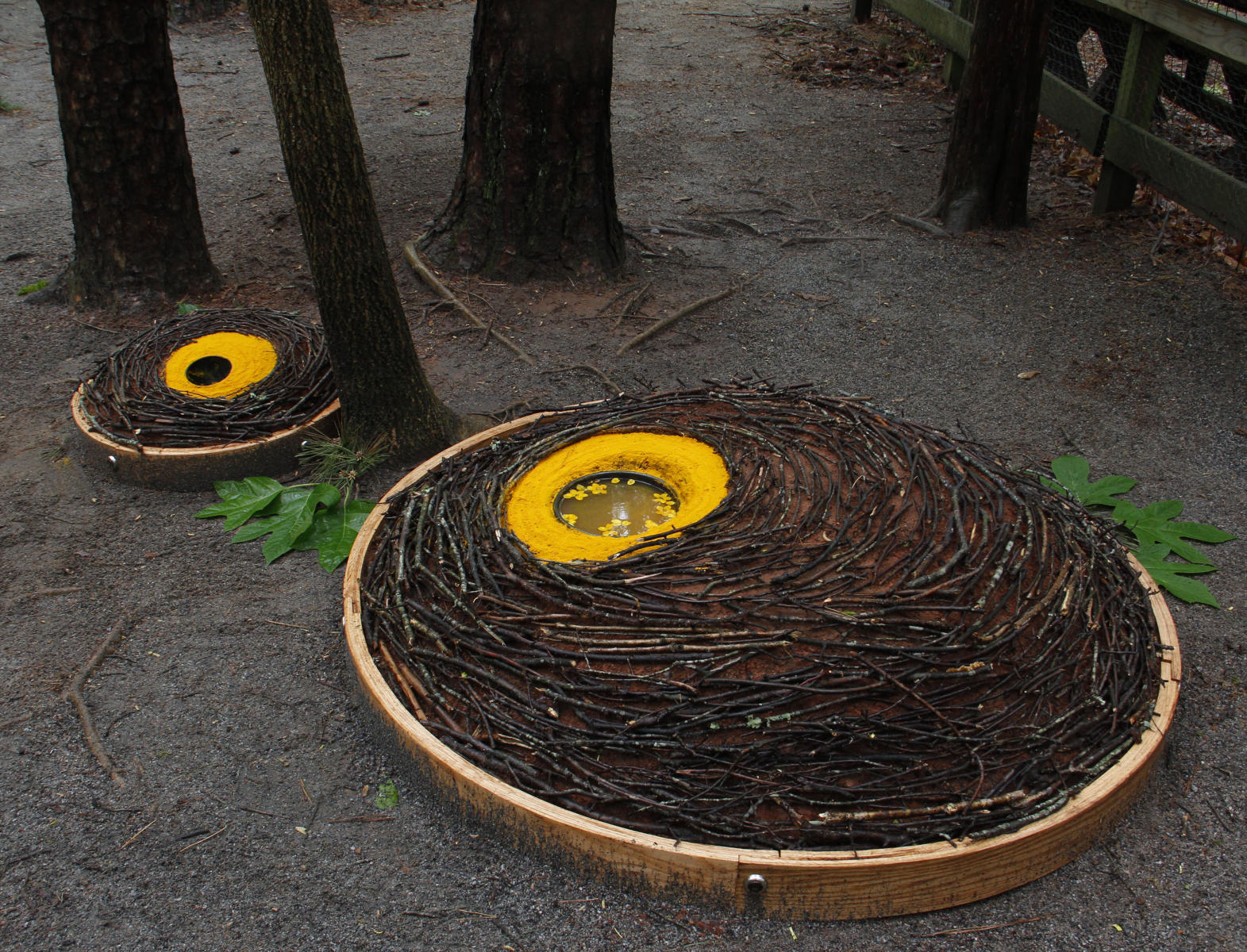 Nesting Domes at the Carolina Raptor Center, Huntersville, NC - 2018