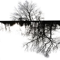 © Crista Cammaroto