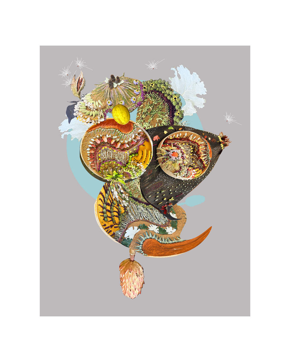 Gone To Seed, digital collage from terra from at Cabarrus Arts Council, archival Inkjet print, 2024