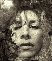 © Crista Cammaroto